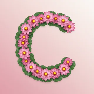 Lotus — letter C
