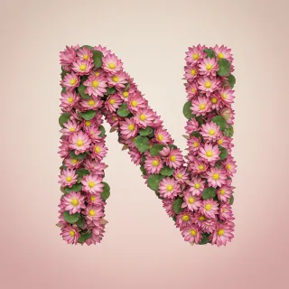 Lotus — letter N