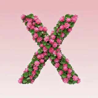 Lotus — letter X