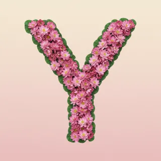 Lotus — letter Y (variant 2)
