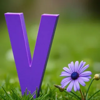 Nature 2 — letter V