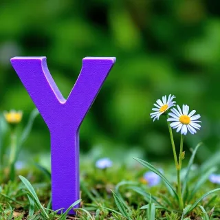 Nature 2 — letter Y