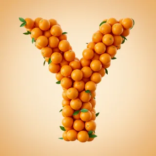Oranges 2 — letter Y (variant 2)
