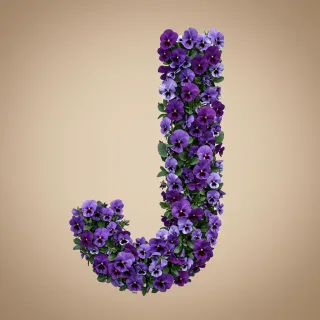 Pansies 3 — letter J