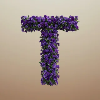 Pansies 3 — letter T