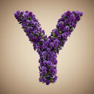 Pansies 3 — letter Y (variant 2)