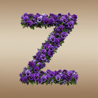 Pansies 3 — letter Z