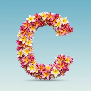 Plumeria — letter C