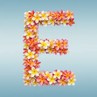 Plumeria — letter E