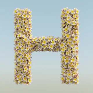 Plumeria — letter H
