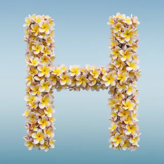 Plumeria — letter H (variant 2)