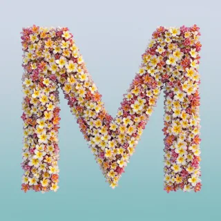 Plumeria — letter M