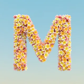Plumeria — letter M (variant 2)