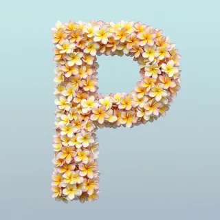 Plumeria — letter P
