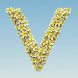 Plumeria — letter V