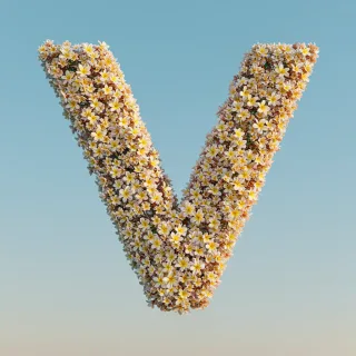 Plumeria — letter V (variant 2)