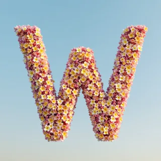 Plumeria — letter W (variant 2)