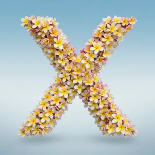 Plumeria — letter X