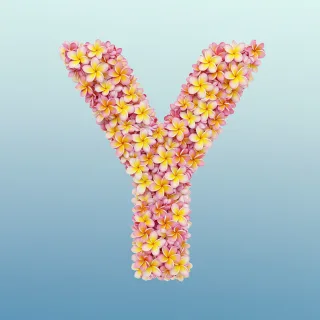 Plumeria — letter Y