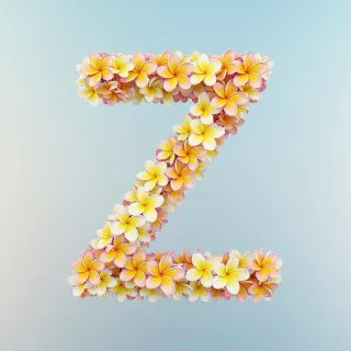 Plumeria — letter Z