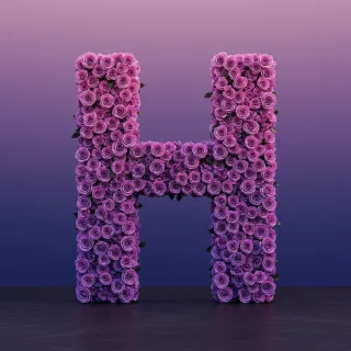 Purple rose — letter H (variant 2)