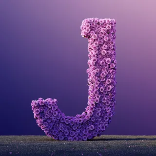 Purple rose — letter J