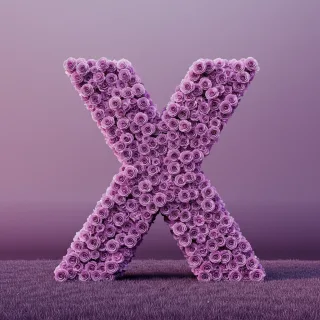 Purple rose — letter X