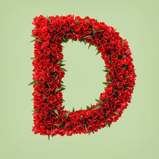Red tulips — letter D (variant 2)