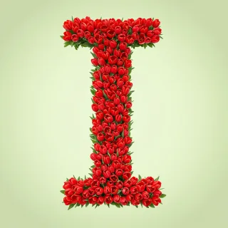 Red tulips — letter I