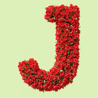 Red tulips — letter J (variant 2)