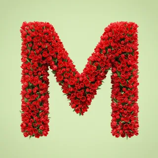 Red tulips — letter M (variant 2)