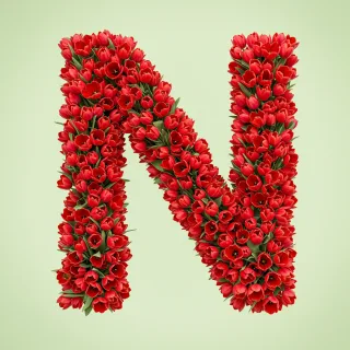 Red tulips — letter N (variant 2)