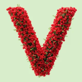 Red tulips — letter V (variant 2)