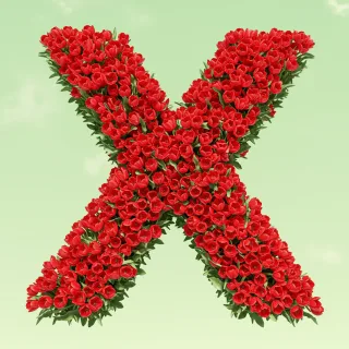 Red tulips — letter X (variant 2)
