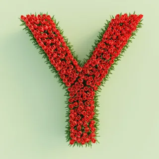 Red tulips — letter Y (variant 2)