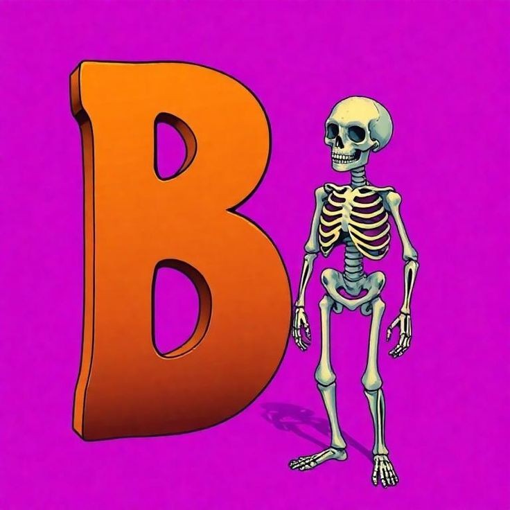 Skeleton — letter B