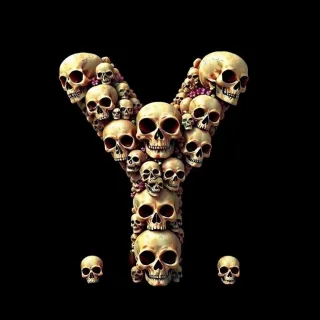 Skulls — letter Y