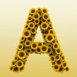 Sunflower 3 — letter A (variant 2)