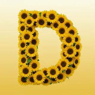 Sunflower 3 — letter D