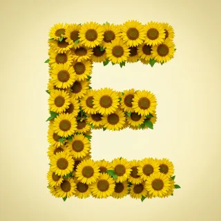 Sunflower 3 — letter E (variant 2)