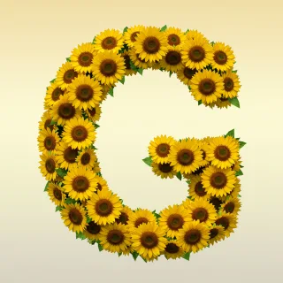 Sunflower 3 — letter G (variant 2)