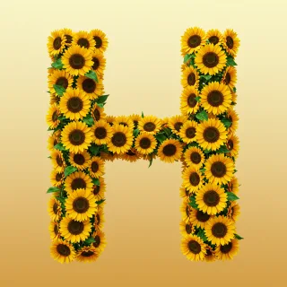 Sunflower 3 — letter H (variant 2)
