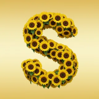 Sunflower 3 — letter S