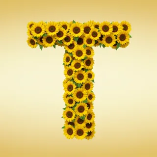 Sunflower 3 — letter T