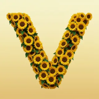 Sunflower 3 — letter V