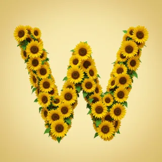 Sunflower 3 — letter W (variant 2)