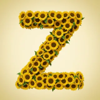 Sunflower 3 — letter Z