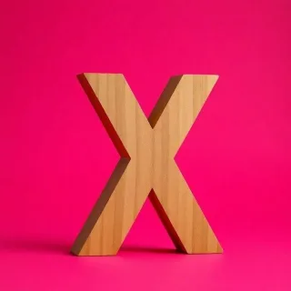 Wood 2 — letter X