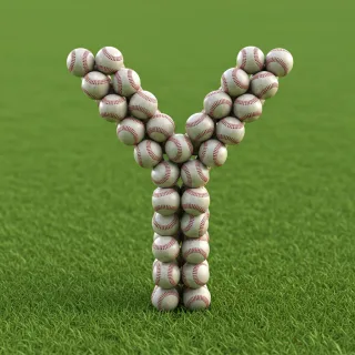 Baseballs — litera Y