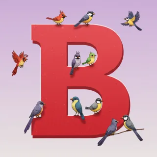 Birds — litera B (wariant 2)